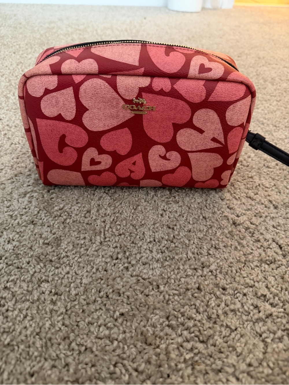 Coach Red and Pink Heart Print Cosmetic Case